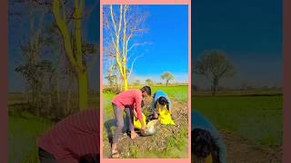 Download lagu harsh pushtpode viral 🥰😎#shorts #desi#viralshort  #atozshorts#orignalcontent mp3