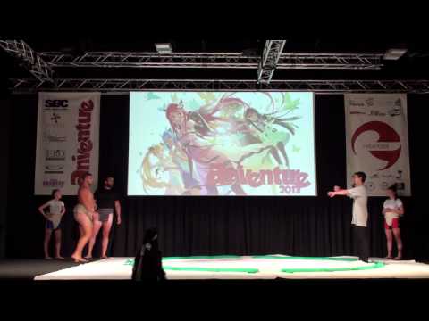 Aniventure 2013 Sumo Demonstration