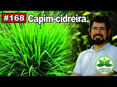 download lagu mp3 mp4 Capim Cidreira, download lagu Capim Cidreira gratis, unduh video klip Capim Cidreira