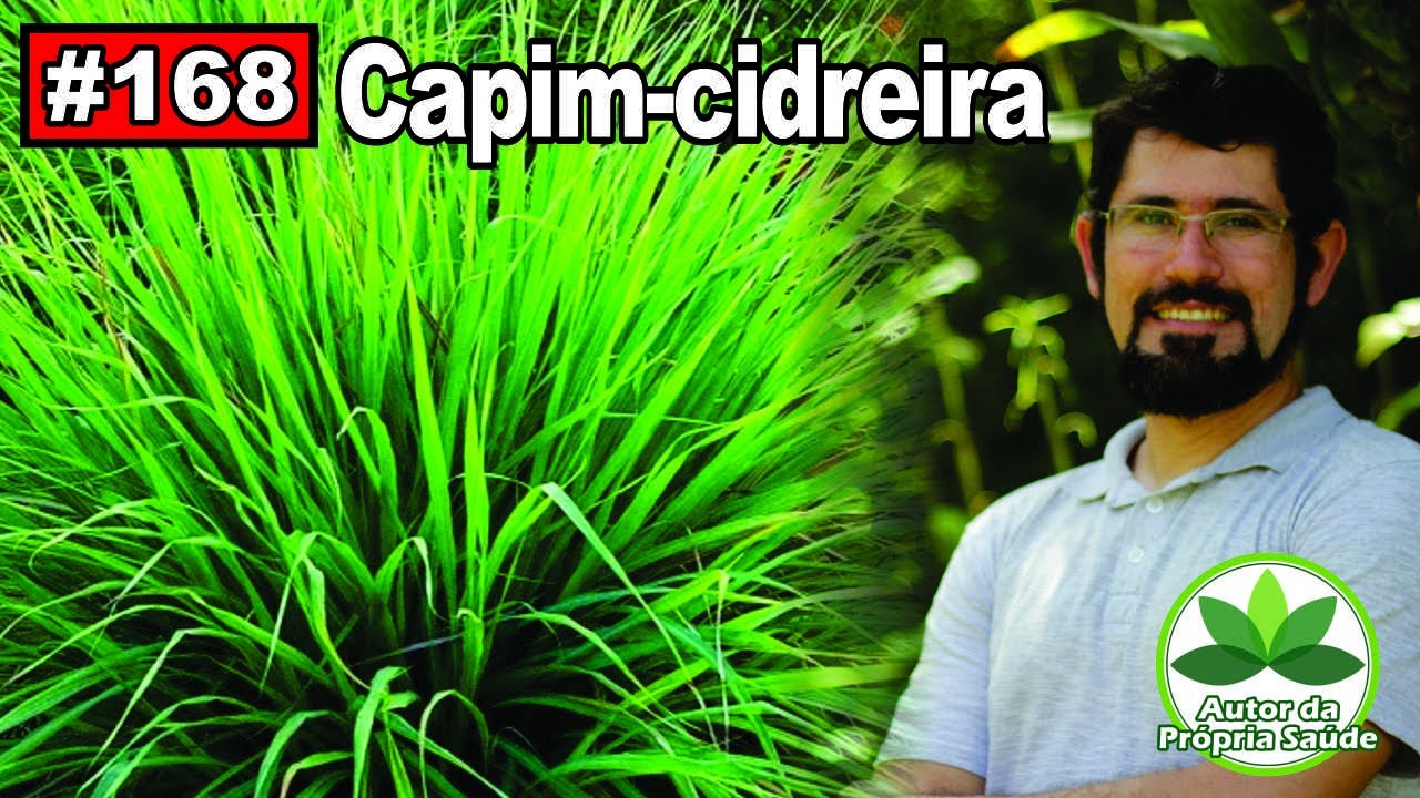 Autor da própria Saúde   Capim Cidreira