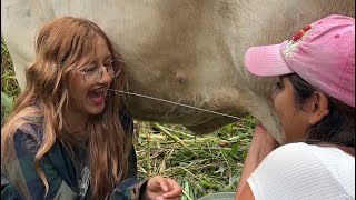 I taught my cousin from the city how to marry milk 🥛🐮 ~ Saida ZC ~ 💚