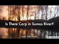 Video Thumbnail for Is There Carp in Sumas River?