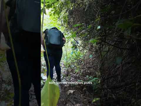 Las Cuevas de Acarite, municipio Petit del Estado Falcón. #YoSoy0268 #edofalcon #cuevasdevzla