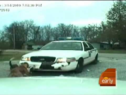 Police Car Chew Toy