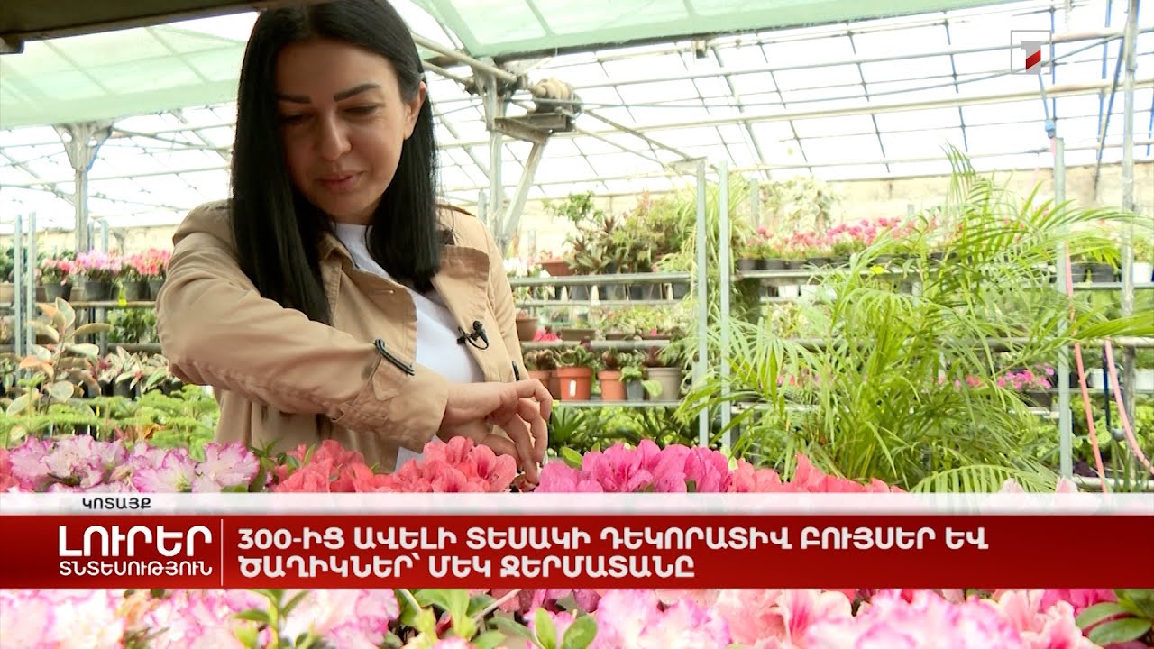 300-ից ավելի տեսակի դեկորատիվ բույսեր և ծաղիկներ՝ մեկ ջերմատանը