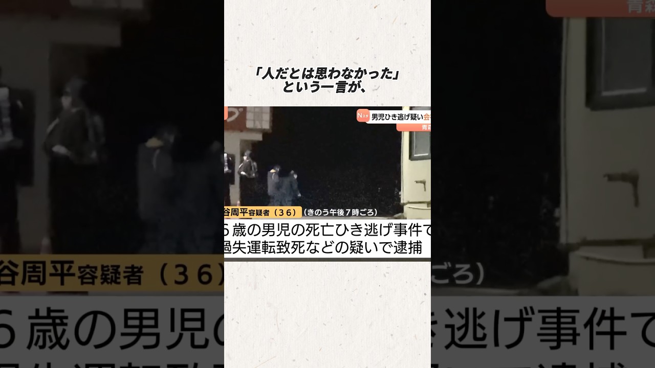 “ひき逃げ”疑い 運転の男逮捕　6歳男児はねられ死亡　青森#事件#事故
