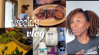weekly vlog~plant propagations, clean make up brushes, new restaurants &more| heyknottygirl vlog