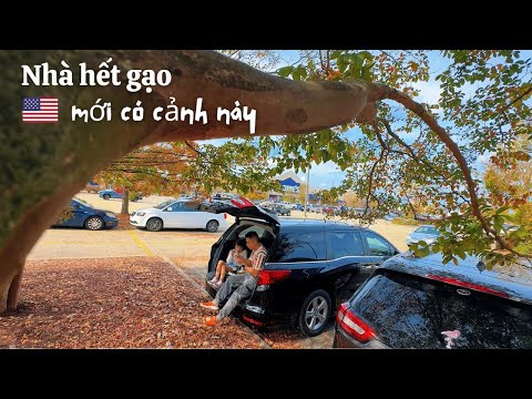 #67: Nhà hết gạo thì làm sao? Bài học cuộc sống Mỹ từ việc trồng cỏ | 30 ngày 30 videos