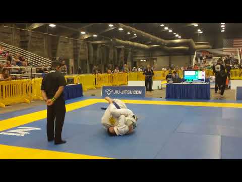 IBJJF Open Phoenix: Blue belt Open Weight Class 2 2022