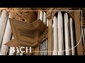 Bach - Wachet auf, ruft uns die Stimme BWV 645 - Zerer | Netherlands Bach Society