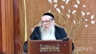 הרה"ג הרב וועכטר שליט"א כ"ד ניסן תשפ"ד - מאמר הרבי הריי"צ ד"ה אני ישנה וליבי ער חלק ב (הרב אברהם מנחם מענדל וכטר) - התמונה מוצגת ישירות מתוך אתר האינטרנט יוטיוב. זכויות היוצרים בתמונה שייכות ליוצרה. קישור קרדיט למקור התוכן נמצא בתוך דף הסרטון