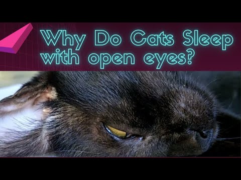 Why do Cats sleep with open eyes?