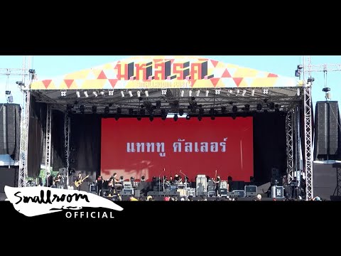 TATTOO COLOUR - ม.ห.ส.ร.ค SMALLROOM PARTY มันส์คักแท้