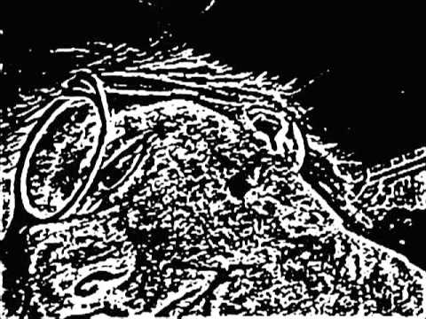 Cool CoreImage Effects