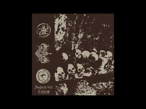 Mörmoo / VzörbrezV / Nözaakr (France) - Nefarious Morbid Trinity (Split)