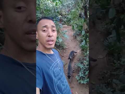 Previsão do Tempo: Paraíba do Sul + Rio De Janeiro: