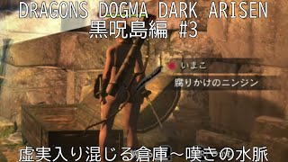 【セクシーポーンと実況プレイ】DRAGONS DOGMA DARK ARISEN 黒呪島編 #3　虚実入り混じる倉庫～嘆きの水脈
