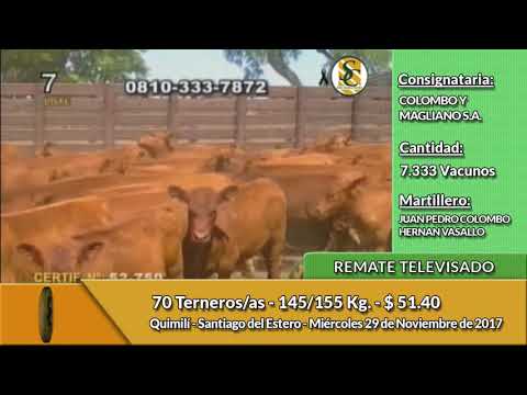 29-11-17 - Remate Televisado de Colombo y Magliano S.A - Quimilí