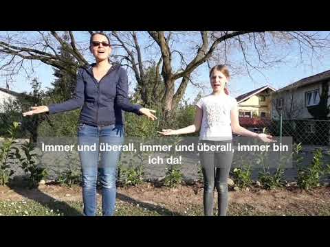 Immer und überall (Vom Anfang bis zum Ende) von Daniel Kallauch