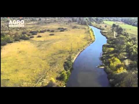 Defrișările de păduri văzute de sus