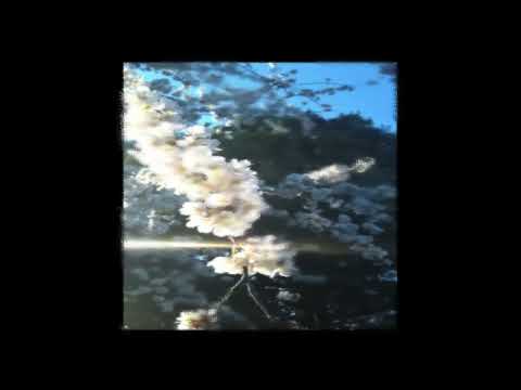 [FREE] h jeunecrack + abel31 type beat - "jeune mélomane" (p. 6minaprès)