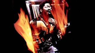 Son Seals - Funky Bitch