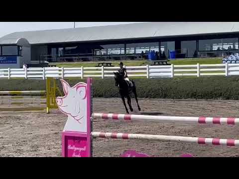 Horse - Image 2