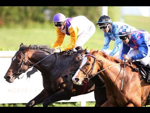 Berlin-Hoppegarten: Preis von Dahlwitz (L) - Sieger: Devastar