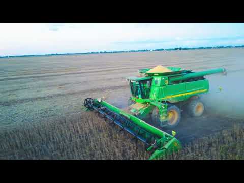 cosecha de soya campaña 2023-2024 bolivia🇧🇴-santa cruz-municipio de 4 cañadas