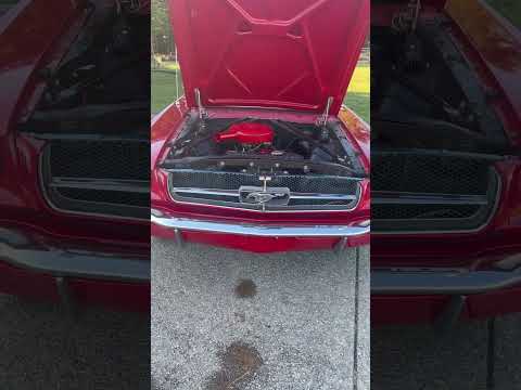 1965 Ford Mustang (CC-1939330) for sale in Springfield, Tennessee