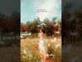 Dandelions Ruth B Ll Lyrics Ll Whatsapp Status ️