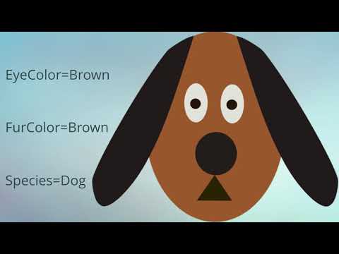 8 Unity Visual Scripting (Bolt) Vs C# - Classes and Objects