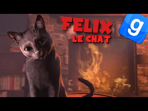 FELIX LE CHAT - GARRY'S MOD DARKRP