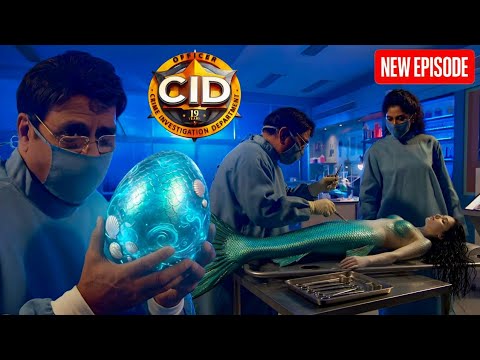 Saluke ने निकाला जलपरी का ऑपरेशन करके उसका अंडा! CID || Latest Episode 2026 ||