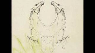 My Brightest Diamond - Dragonfly (Murcof Remix)