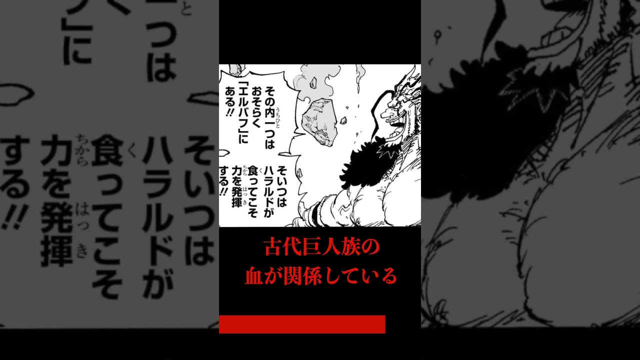 【1157話】ロキが加入する海賊団が遂に...　 #ワンピース #shorts