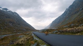 The place to go Longboarding in Norway's