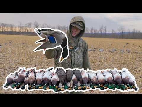 Last Day of Duck Season | 7 MAN DUCK LIMIT