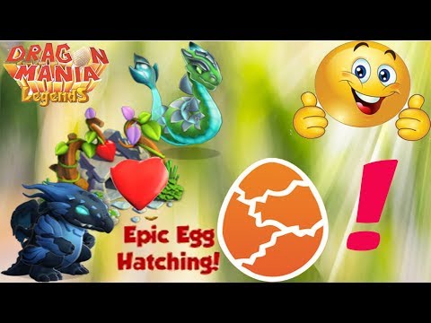 🎮Breeding Dragons Together?( Breeding time 1d:05h ), Gameplay , Dragon Mania Legends | part 1005 HD