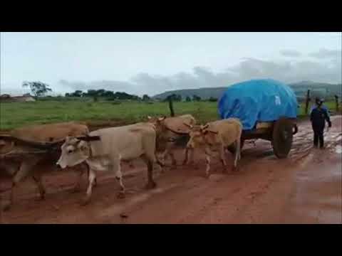 Romaria de Carros de Boi em Nazário de Goiás