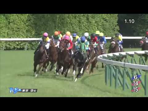 2018/05/27 東京9R むらさき賞 [エアウィンザー] Ｍ.デムーロ