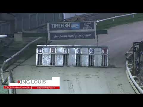 King Louis - BGBF British Bred Derby Semi Final 2