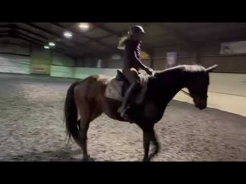 Rex BD preliminary 1 (2024) - 4th Jan 26