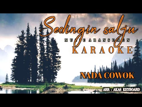 sedingin salju - nada cowok | karaoke ( akas studio )