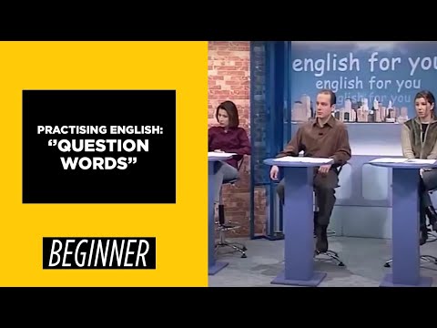 Beginner Level Question Words | English For You