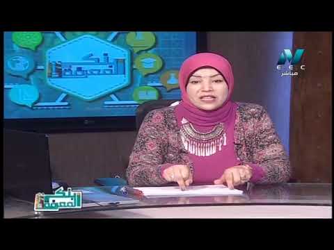 جغرافيا الصف الأول الثانوى 2019 (ترم 2) - النشاط التعديني والصناعي فى مصر