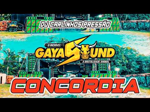 GAYA SOUND - CONCORDIA - DJ CARLINHOS PRESSÃO