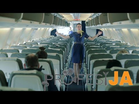 PROFESIJA 2 - Stjuard/Stjuardesa (PROFESSION: Cabin Crew)