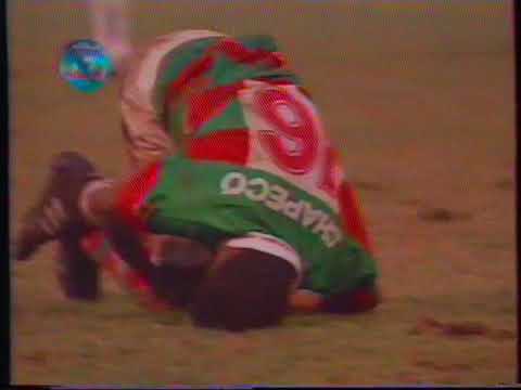 PORTUGUESA 3x1 SANTOS - Campeonato Paulista Série A1 1995 - Globo Esporte