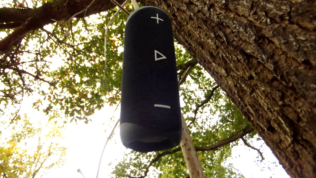 Портативная колонка Sharp GX-BT280, черный